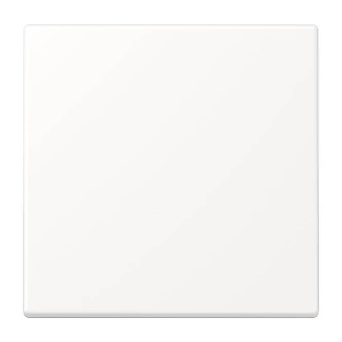 Jung Wippe f.Schalter/Taster LS990WWM schneeweiß matt Install.Baumaterial Schaltermat/Geb.Steu