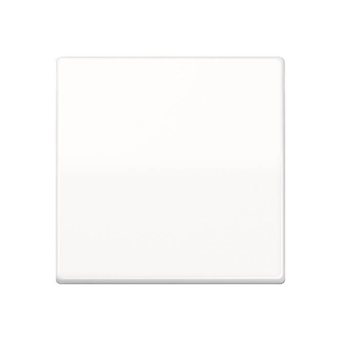 Jung Steuertaste Std. AS1700WW alpinweiß Install.Baumaterial Schaltermat/Geb.Steu Schalter