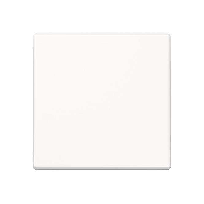 Jung Steuertaste Std. A1700WW alpinweiß Install.Baumaterial Schaltermat/Geb.Steu Schalter