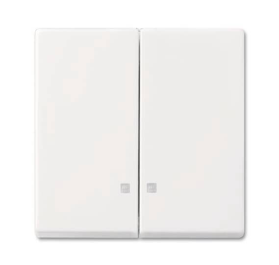 BJ Wippe alpinweiss 2505 K-914 Busch-balance SI f.Schalter/Taster Install.Baumaterial Schalter