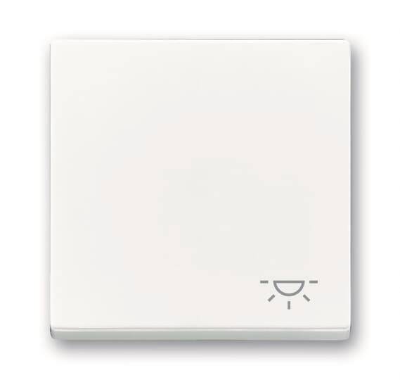 BJ Wippe Licht 2520 LI-84 Install.Baumaterial Schaltermat/Geb.Steu Schalter Steckdosenm