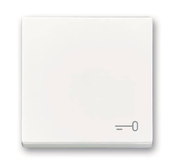 BJ Wippe Schlüssel 2520 TR-84 Install.Baumaterial Schaltermat/Geb.Steu Schalter Steckdosenm