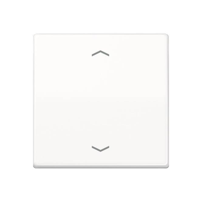 Jung Steuertaste Standard AS1700PWW Pfeile alpinweiß Install.Baumaterial Schaltermat/Geb.Steu