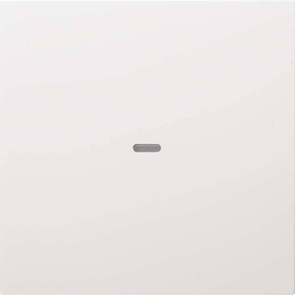 Berker Wippe 1fach mit klarer 80960289 Linse S.1/B.3/B.7 polarws glänzend Install.Baumaterial