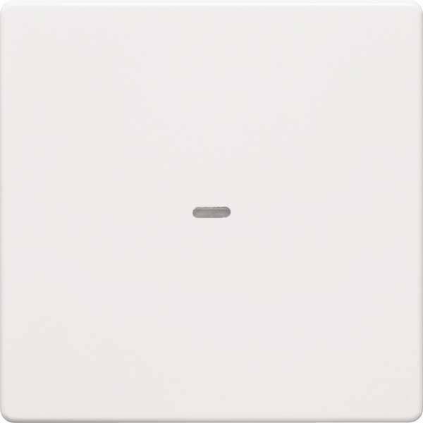 Berker Wippe 1fach mit klarer 80960229 Linse Q.1/Q.3 polarws samt Install.Baumaterial Schalter