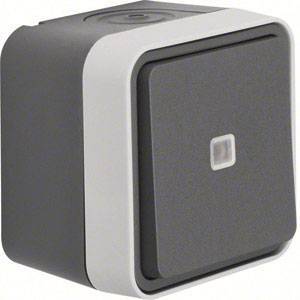 BER APWG Taster mit Linse W.1 50763505 lichtgrau Install.Baumaterial Schaltermat/Geb.Steu Schalter