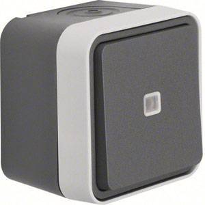 Berker Kontroll-Wechselschalter 31763505 AP, m.roter Linse W.1 lichtgrau Install.Baumaterial