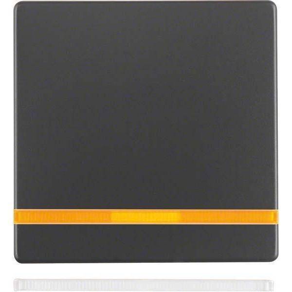 Berker Wippe m. 2 beiliegenden 16216086 Linsen Q.1/Q.3 anthrazit, samt Install.Baumaterial Schalter
