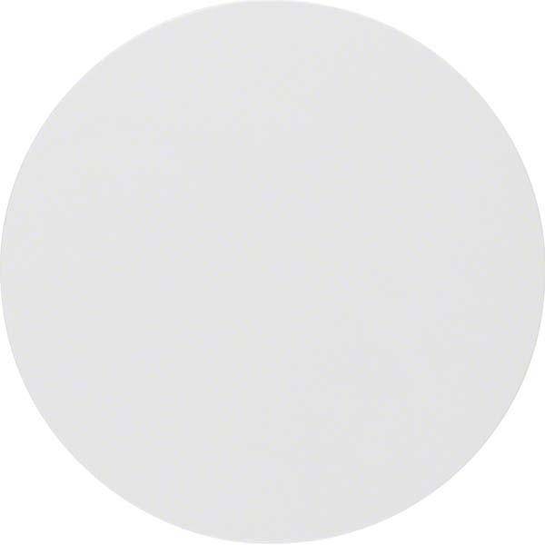 Berker Wippe R.1/R.3 polarweiß, 16202089 glänzend Install.Baumaterial Schaltermat/Geb.Steu