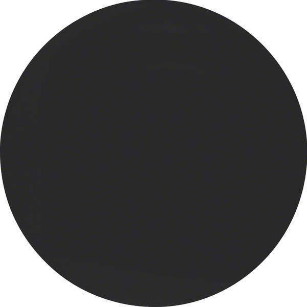 Berker Wippe R.1/R.3 schwarz, 16202045 glänzend Install.Baumaterial Schaltermat/Geb.Steu Schalter