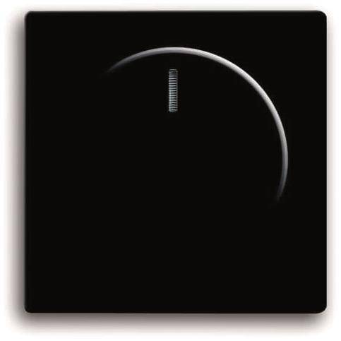BJ Zentralscheibe f. 6540-885-102 Drehdimmer schwarz matt Install.Baumaterial Schaltermat/Geb.Steu