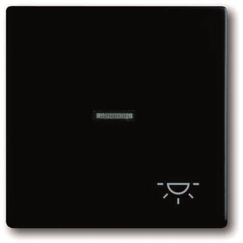 BJ Wippe f. Kontrollschalter 1789 LI-885 Symbol Licht Install.Baumaterial Schaltermat/Geb.Steu