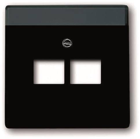 BJ Zentralscheibe f. UAE- 1803-02-885 Einsätze 2fach Install.Baumaterial Schaltermat/Geb.Steu