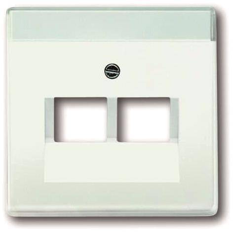 BJ Zentralscheibe f. UAE- 1803-02-884 Einsätze 2fach Install.Baumaterial Schaltermat/Geb.Steu