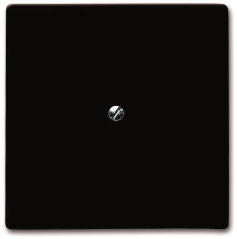 BJ UPWG Allwetter 44 Blindabdec. 2138-31 braun Install.Baumaterial Schaltermat/Geb.Steu Schalter