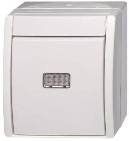 BJ APWG ocean Taster mit 2621WGL-54 Beleuchtung Schliesser alpinweiss Install.Baumaterial Schalter