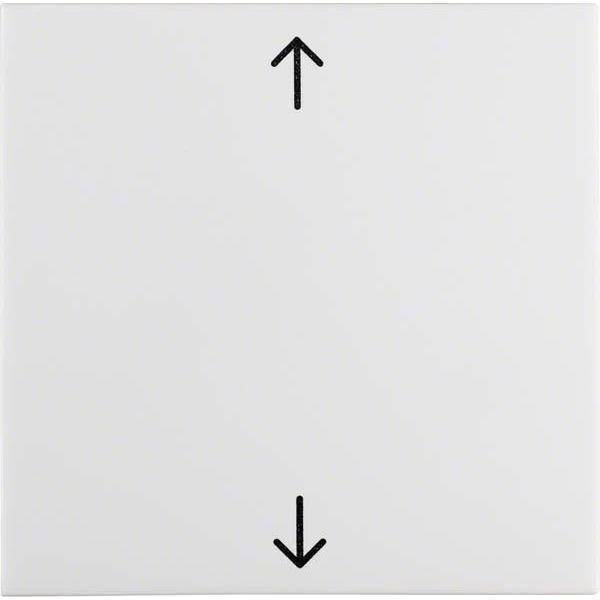 BER Wippe mit Aufdruck Symbol 16208919 S.1 B.3 B.7 Glas polarweiss glänz. Install.Baumaterial