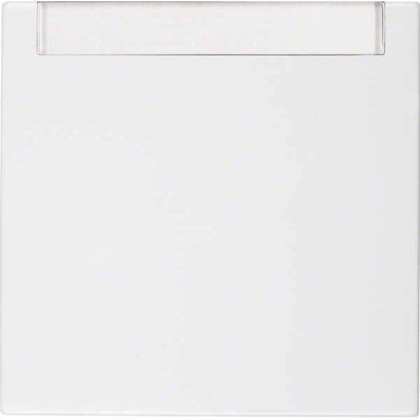 BER S1 Wippe Wechsel mit 16268989 Schriftfeld polarweiss glänzend Install.Baumaterial Schalter