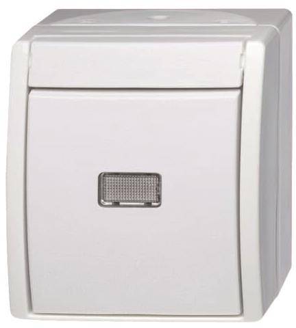 BJ APWG ocean Aus/ Wechsel 2601/6WGL-54 mit Beleuchtung alpinweiss Install.Baumaterial Schalter