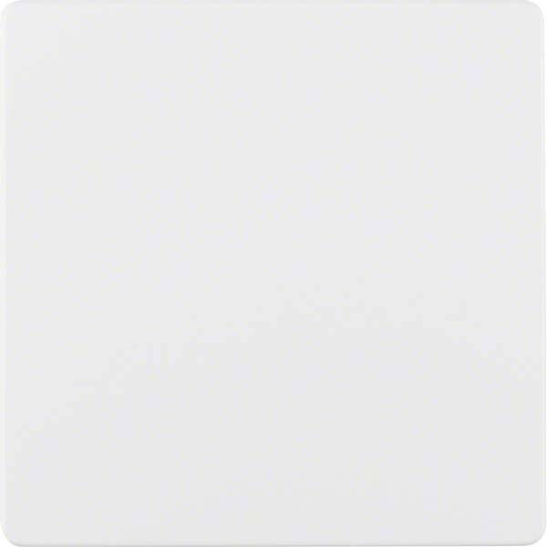 BER Zentralplatte Instabus 75940489 polarweiss für Sensoreinsatz Install.Baumaterial Schalter