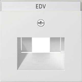 GIRA 028427 Abdeckung+ BSF UAE/IAE+ Netzwerk System 55 Reinweiß seidenmatt Install.Baumaterial