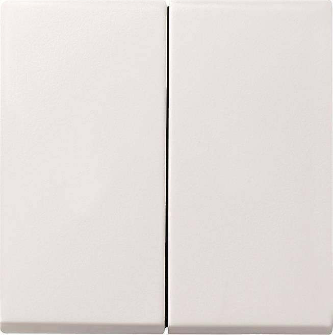 GIRA 029527 Wippe 2fach System 55 Reinweiß seidenmatt Install.Baumaterial Schaltermat/Geb.Steu