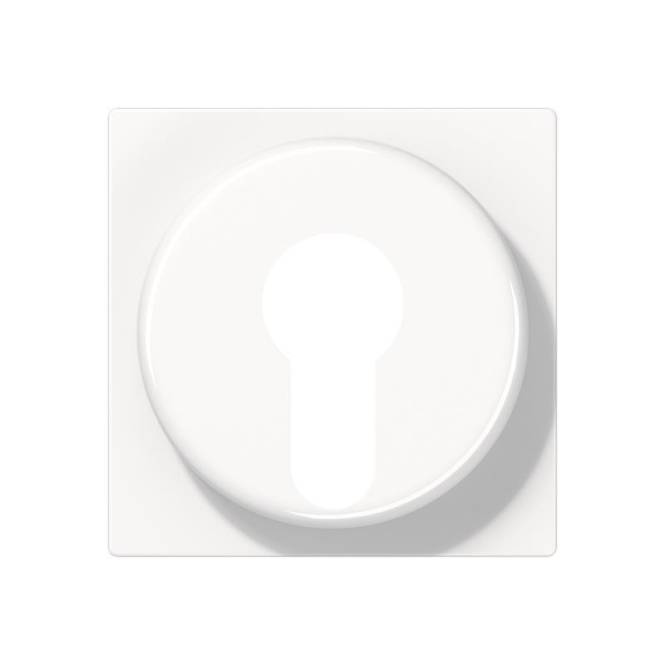 JG AS 500 Abdeckung für A528PLWW Schlüsselschalter alpinweiss Install.Baumaterial Schalter