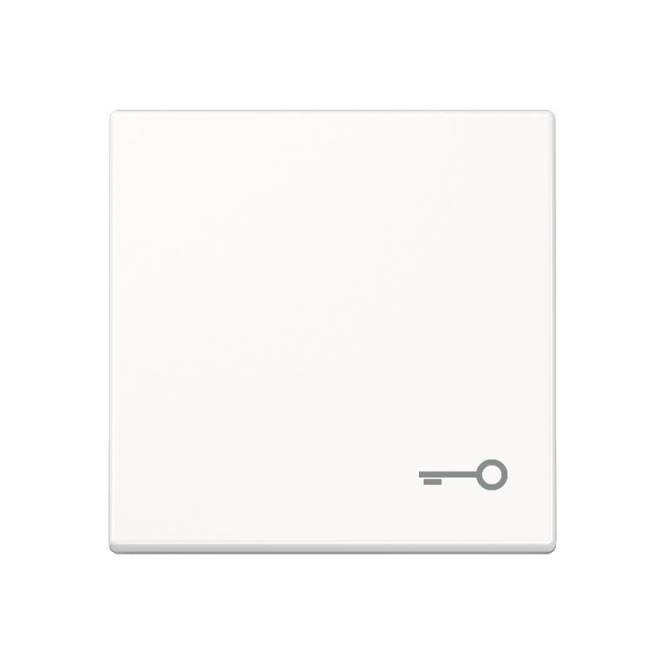 JG Wippe Symbol Tür A590TWW alpinweiss Install.Baumaterial Schaltermat/Geb.Steu Schalter