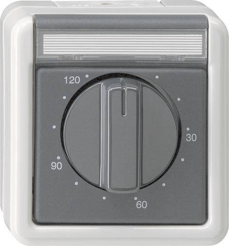 GIRA 032130 Zeitschalter 2-polig 120min. BSF WG AP IP44 Grau Install.Baumaterial Schalter