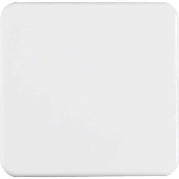 BER UPWG Wippe Aus-Wechsel 155009 polarweiss Install.Baumaterial Schaltermat/Geb.Steu Schalter