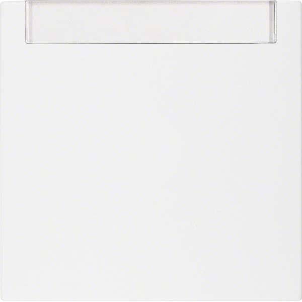 BER S1 Wippe Wechsel mit 16261909 Schriftfeld polarweiss matt Install.Baumaterial Schalter