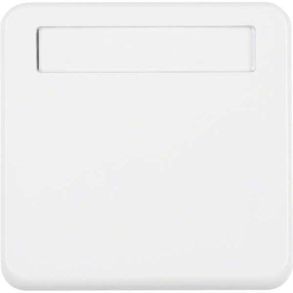 BER UPWG Zwischenring mit Klapp- 102259 deckel und Schriftfeld polarweiss Install.Baumaterial