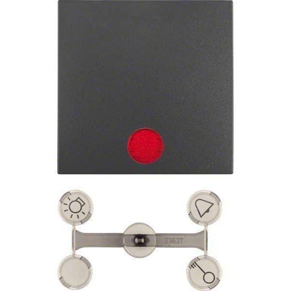 BER S1 Wippe Wechsel mit 16211606 Kontroll mit Linsen anthrazit matt Install.Baumaterial Schalter