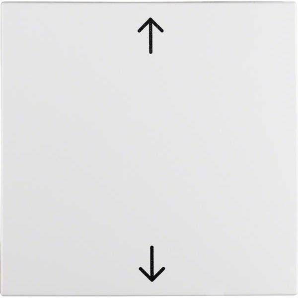 BER S1 Wippe Jalousie 16201919 polarweiss matt Install.Baumaterial Schaltermat/Geb.Steu Schalter