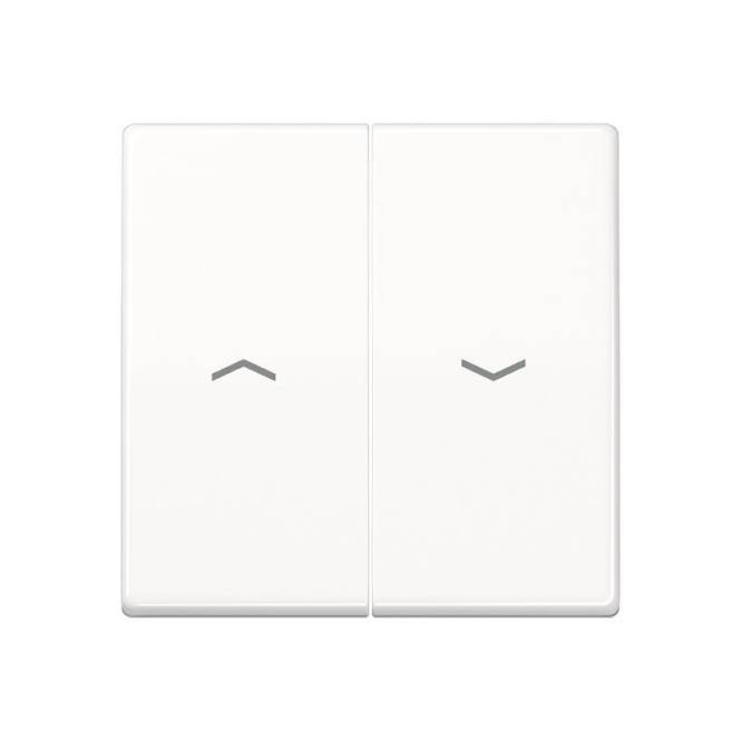 JG Wippe Jalousie-Schalter AS591-5PBFWW AS 500/A PLUS alpinweiss Install.Baumaterial Schalter