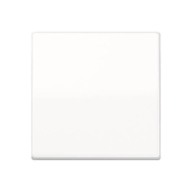 JG Wippe Wechsel AS591BFWW alpinweiss Install.Baumaterial Schaltermat/Geb.Steu Schalter Steckdosenm