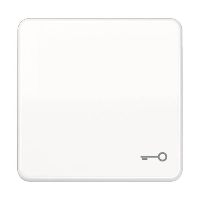 JG Wippe mit Schlüsselsymbol CD590TWW alpinweiss Install.Baumaterial Schaltermat/Geb.Steu Schalter