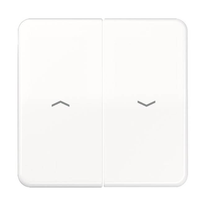 JG Wippe Jalousie CD595PWW alpinweiss Install.Baumaterial Schaltermat/Geb.Steu Schalter Steckdosenm