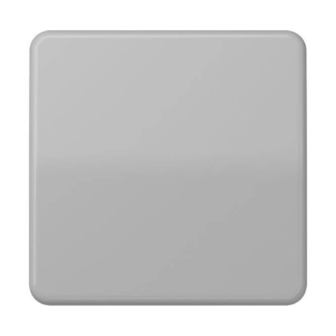 JG Wippe Wechsel CD590GR grau Install.Baumaterial Schaltermat/Geb.Steu Schalter Steckdosenm
