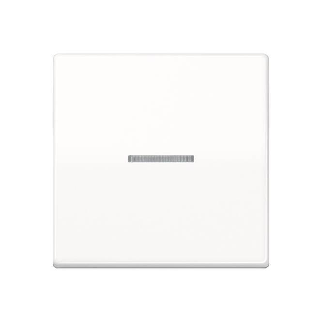 Jung KNX RF Taster AS10911STRFWW 1f.Duroplast Serie AS alpinws Install.Baumaterial KNX