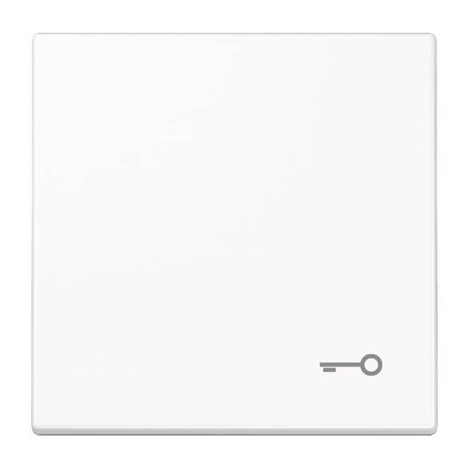 JG Wippe Tür LS990TWW alpinweiss Install.Baumaterial Schaltermat/Geb.Steu Schalter Steckdosenm