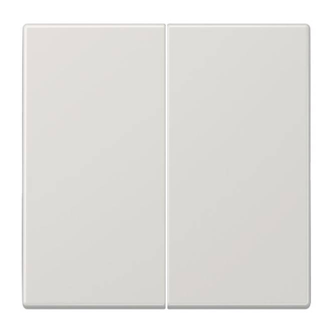 JG Wippe für Taster LS995LG Ba 2-F. (LS990) lichtgrau Install.Baumaterial Schaltermat/Geb.Steu