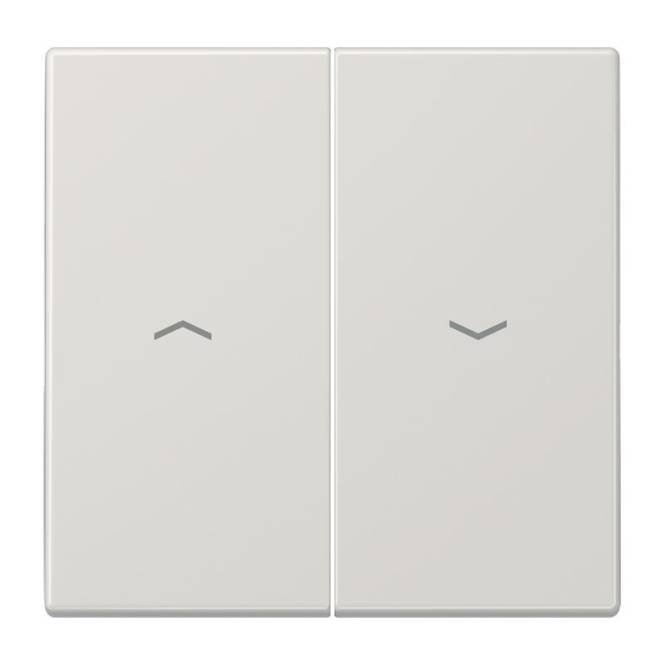 JG Wippe f. Taster Ba 2-F. LS995PLG (LS990) m. Symbolen lichtgrau Install.Baumaterial Schalter