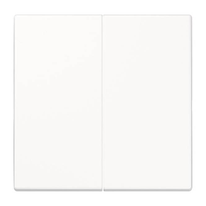 Jung Steuertaste 2-fa LS1702WW alpinweiß Install.Baumaterial Schaltermat/Geb.Steu Schalter