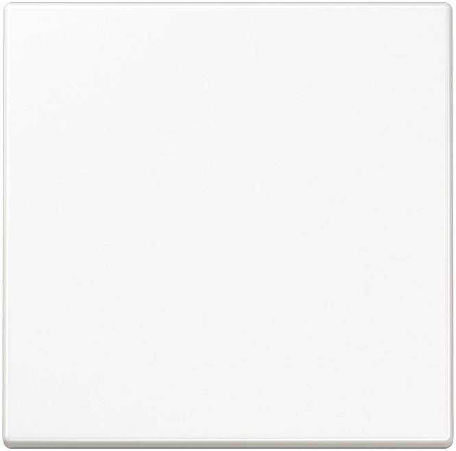 JG Wippe Wechsel LS990WW alpinweiss Install.Baumaterial Schaltermat/Geb.Steu Schalter Steckdosenm