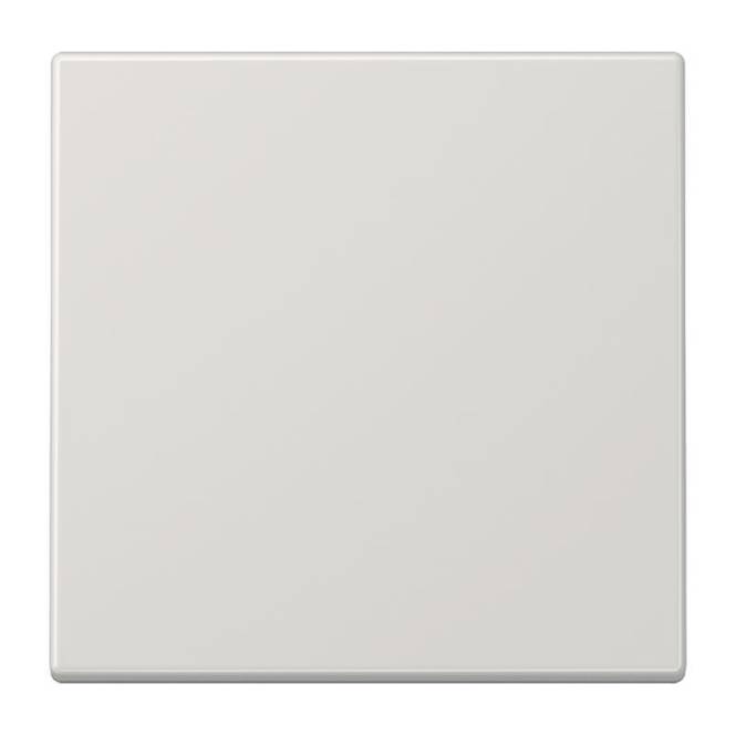JG LS-design Wippe Wechsel LS990LG lichtgrau Install.Baumaterial Schaltermat/Geb.Steu Schalter
