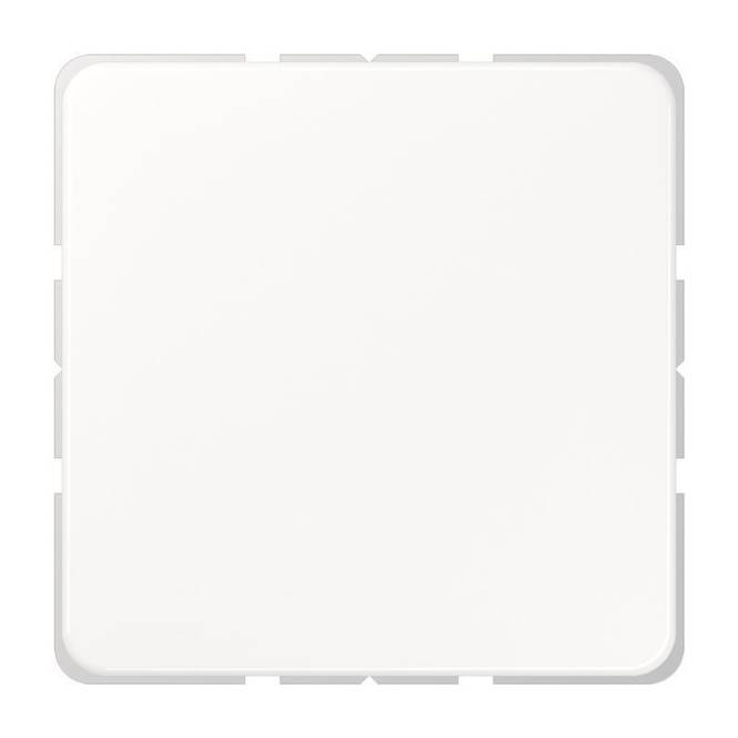 JG SL 500 Blind-Abdeckung CD594-0WW alpinweiß Install.Baumaterial Schaltermat/Geb.Steu Schalter