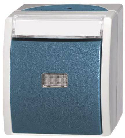 BJ APWG ocean Taster mit 2621WN-53-201 Schriftfeld Schliesser grau/blaugrün Install.Baumaterial