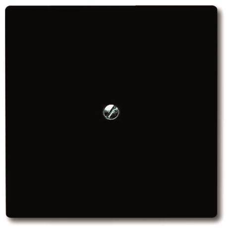 BJ UPWG Allwetter Blindabdeckung 2138-35 anthrazit Install.Baumaterial Schaltermat/Geb.Steu Schalter