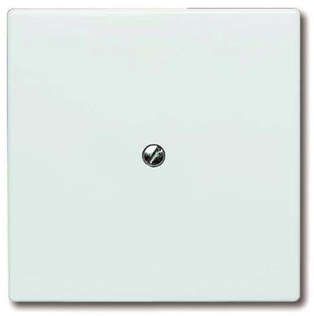 BJ UPWG Allwetter Blindabdeckung 2138-34 alpinweiss Install.Baumaterial Schaltermat/Geb.Steu